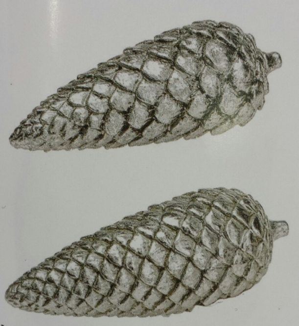 Hovedbilde Kongle 18cm stor