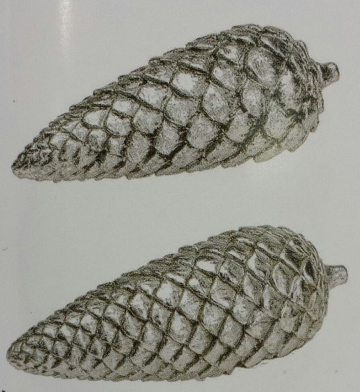 Kongle 18cm stor