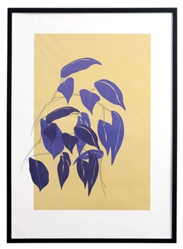 Ramme 50x70 cm sort/glass