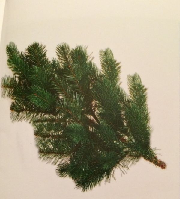 Hovedbilde Decorkvist Julegrein luxus ...