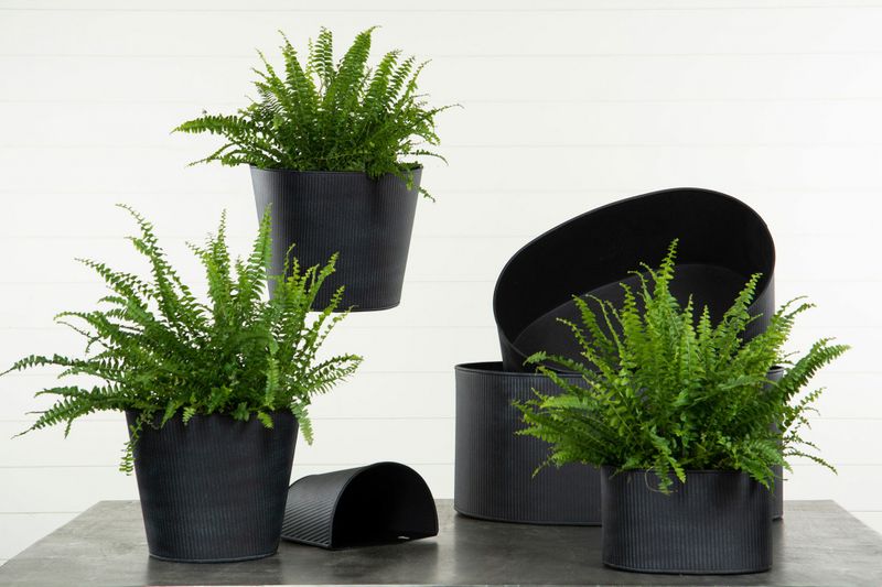Väggampel Stripe Svart 18cm