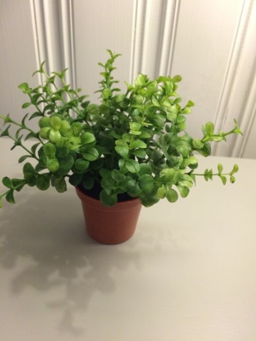 Hovedbilde Grønne miniblomster 