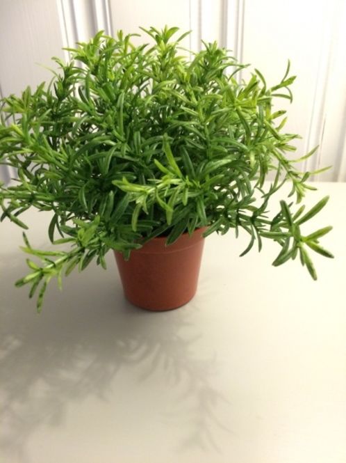 Hovedbilde Grønne mini blomster