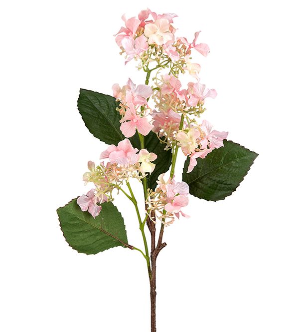 Hovedbilde Hortensia stilk Rosa H 60 cm