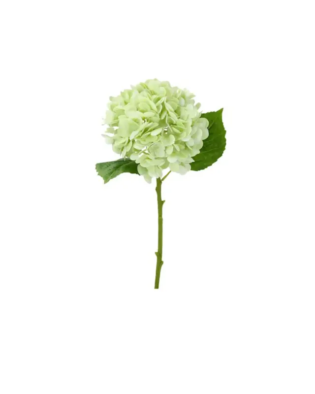 Hortensia på stilk Grønn 25x15x50 cm