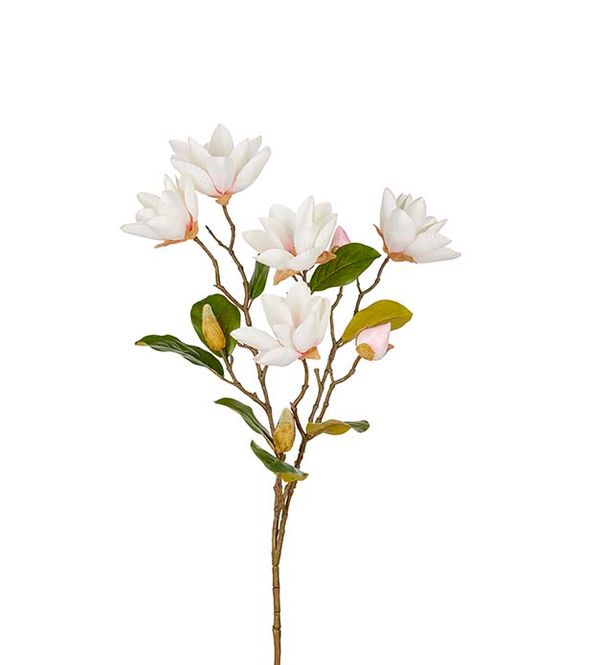 Hovedbilde Magnolia stilk 90 cm