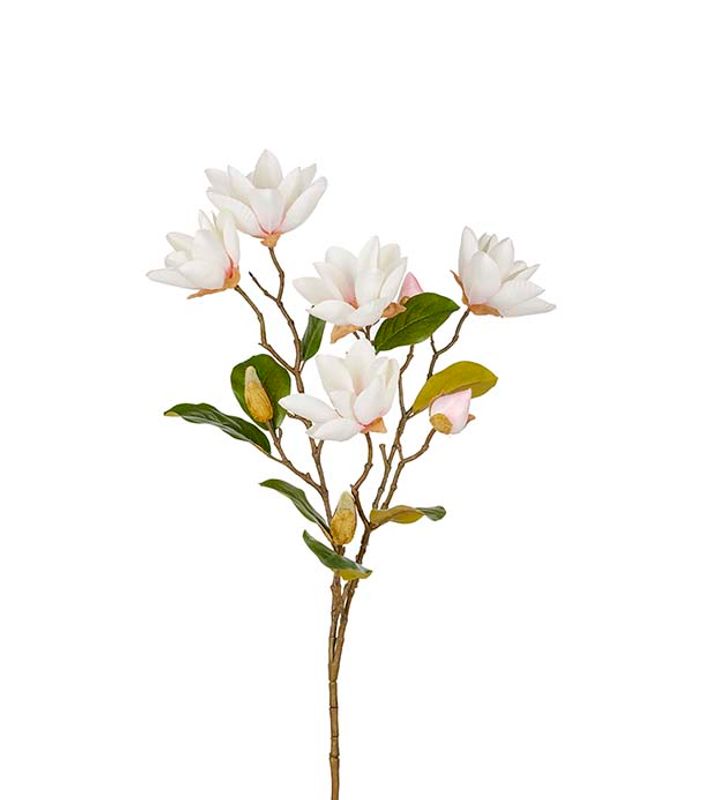 Magnolia stilk 90 cm