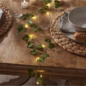 Hovedbilde IVY SLYNGE BATTERI/TIMER