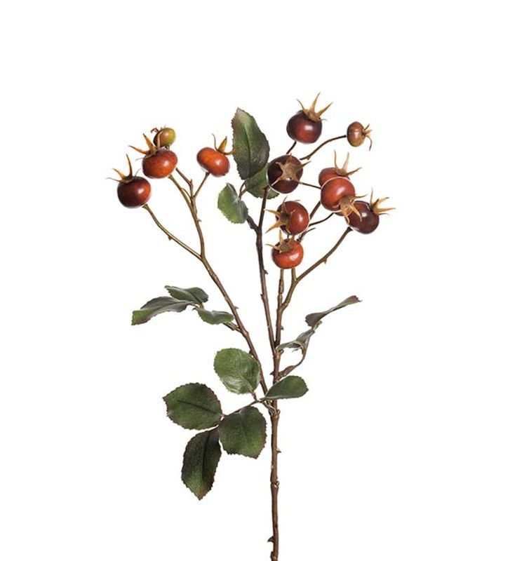 Nype stilk Høyde 65 cm
